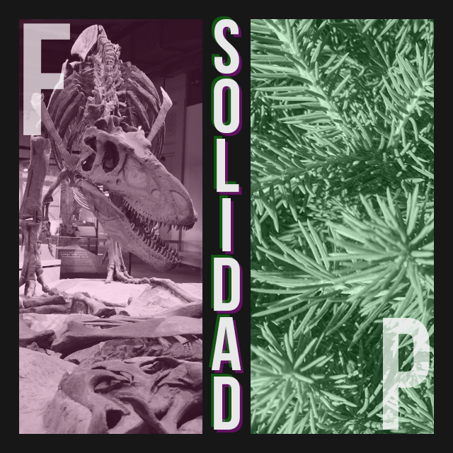Solidad F P thubnail icon